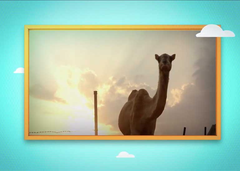 a diarie that has a picture of a camel